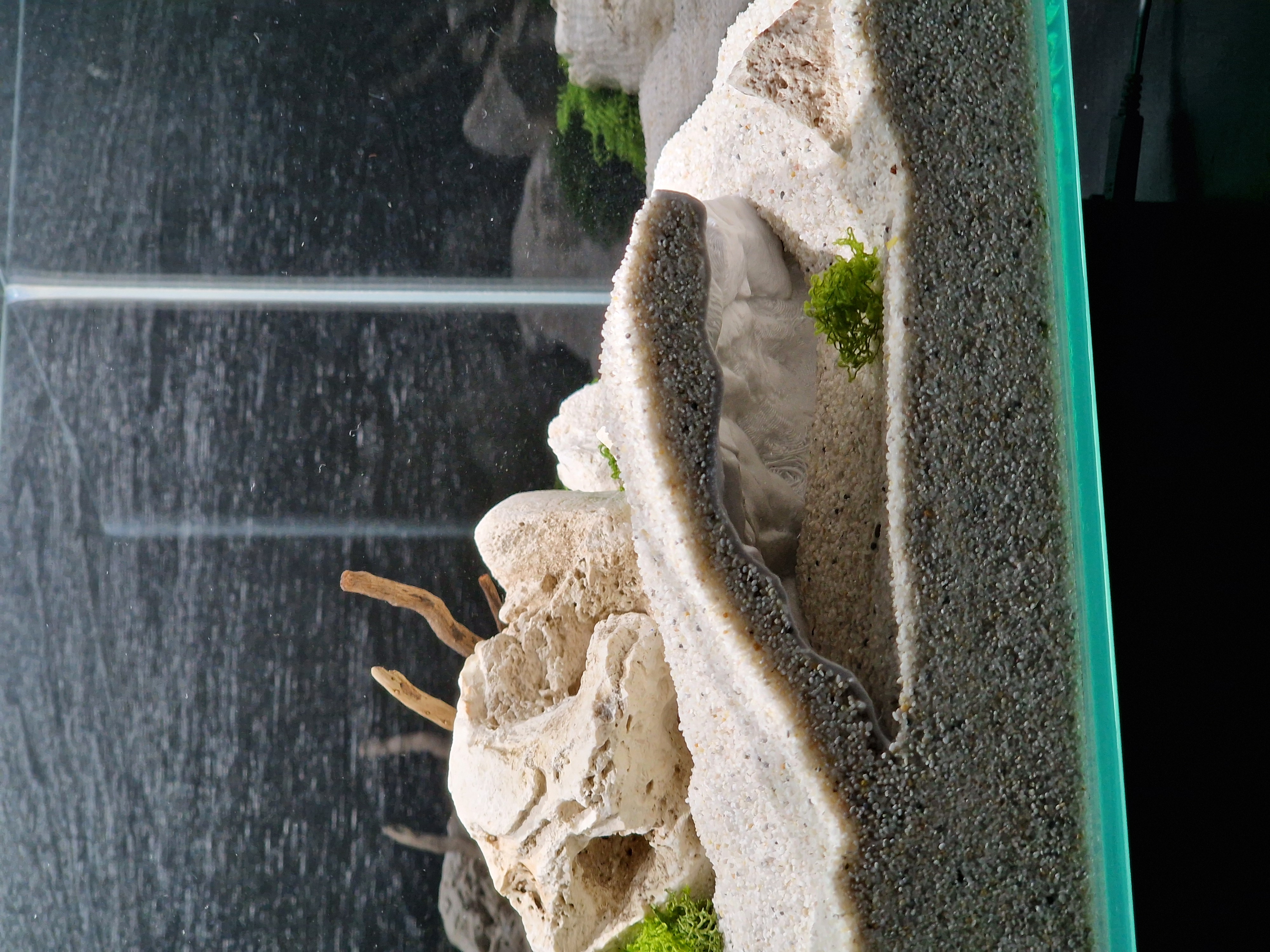 Cliff Aquarium | Terrarium Cave (black)