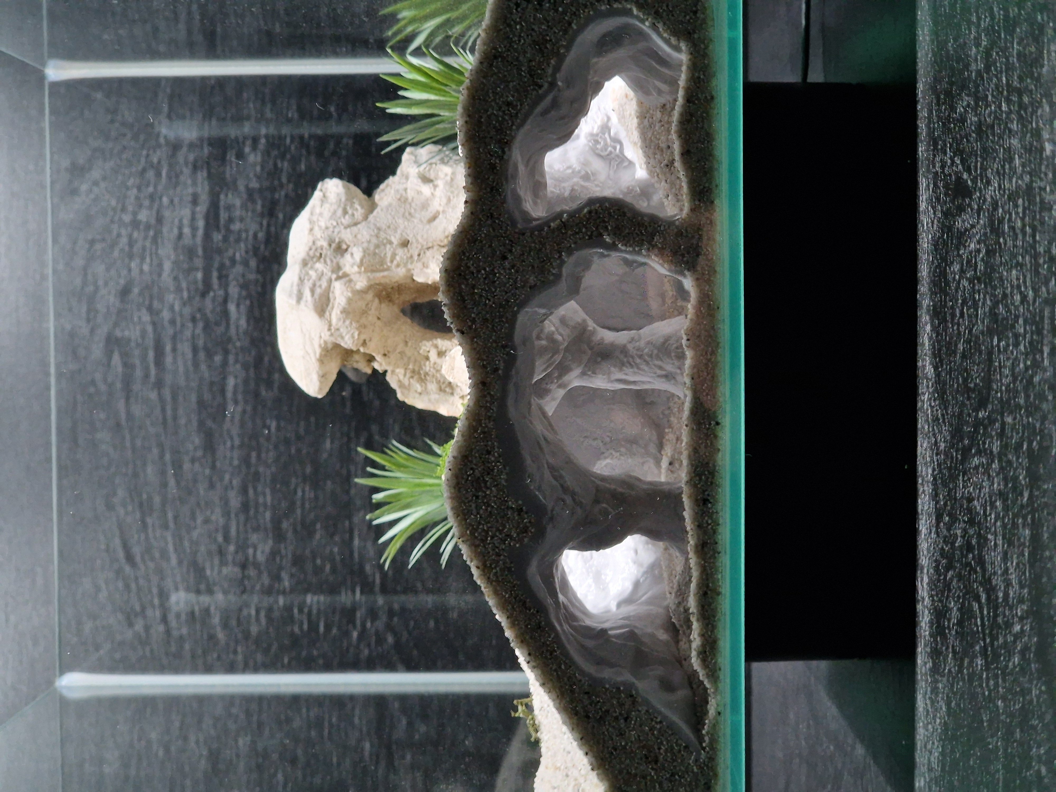 Atlantis Aquarium | Terrarium Cave (black)