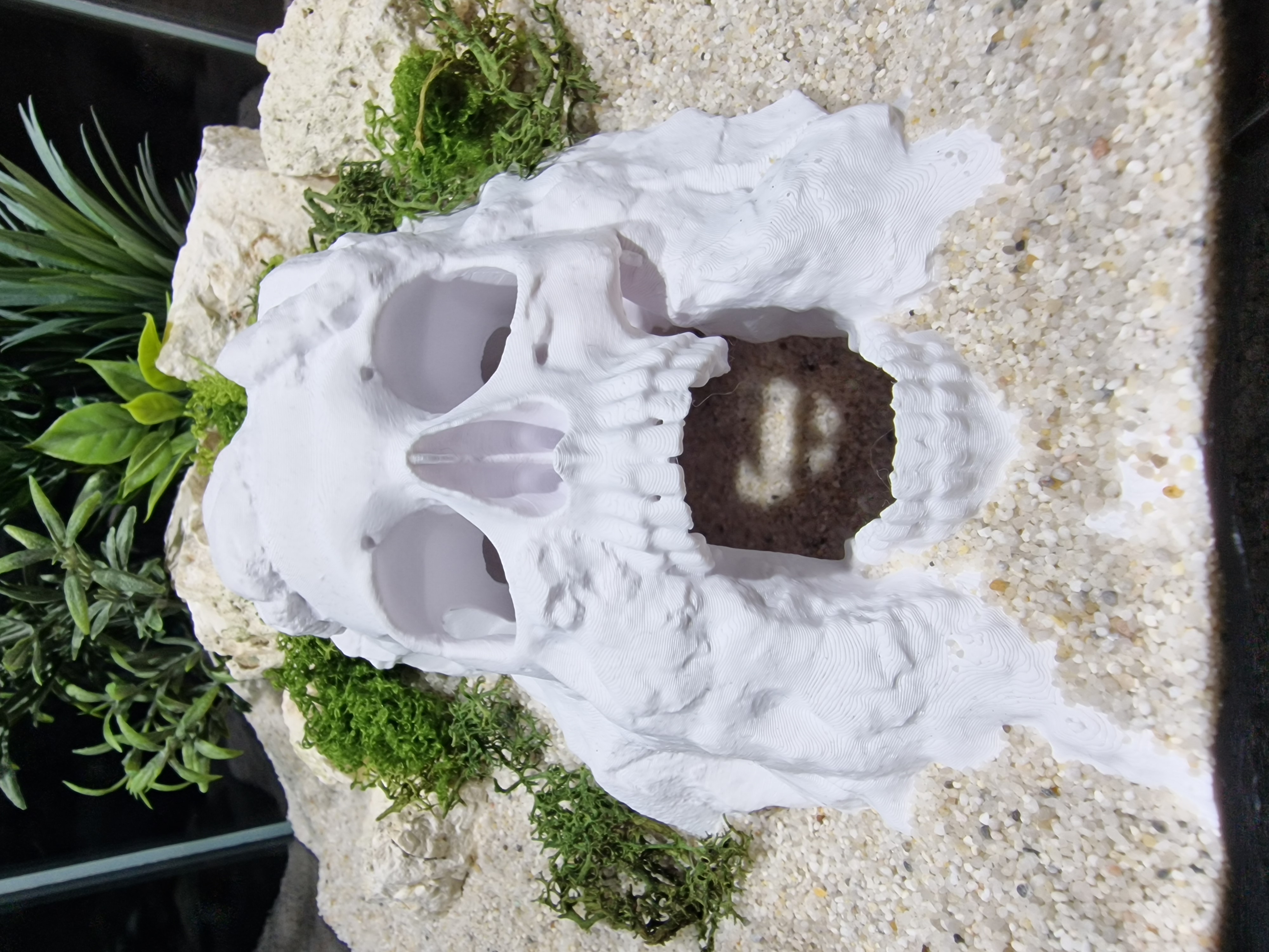 Pirate TReasure Cave White