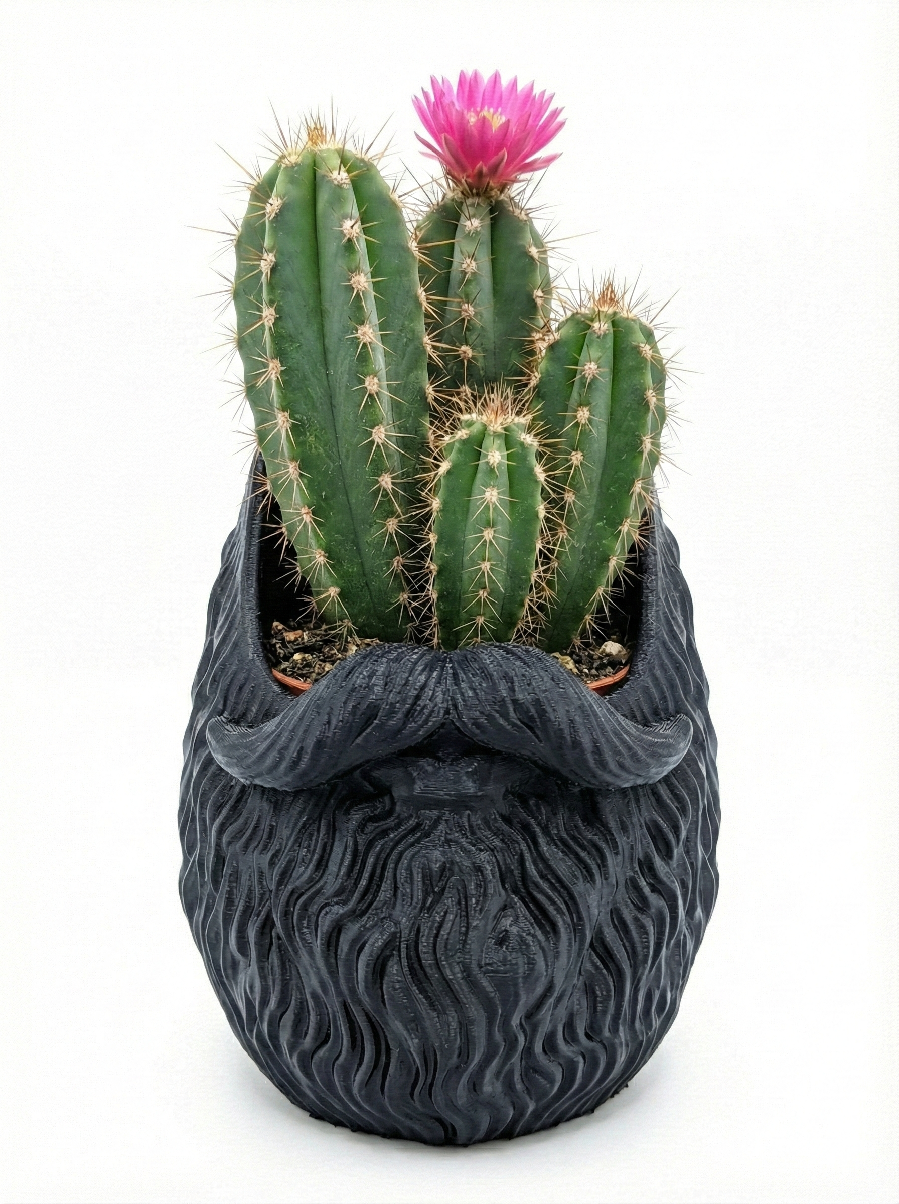 Bearded Vase