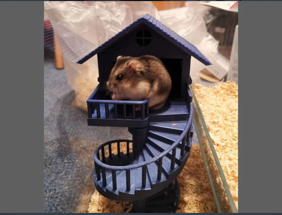 "Mouse (pla.mt.🔵 )(building) or hamster 2 story house" - Duplicate - Duplicate