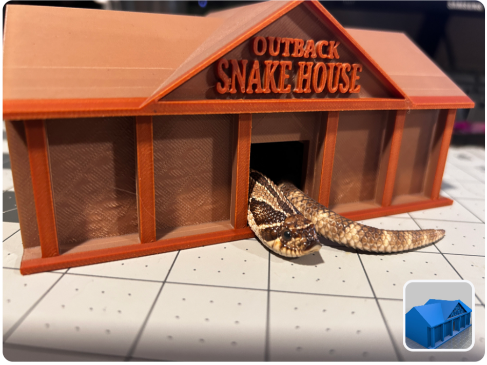 "Pet snake  color (🔴) home" - Duplicate
