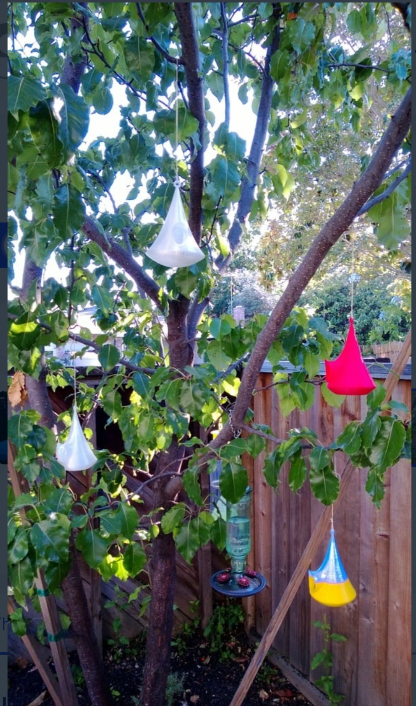 "Comb birdhouse" colr (⚪) - Duplicate - Duplicate