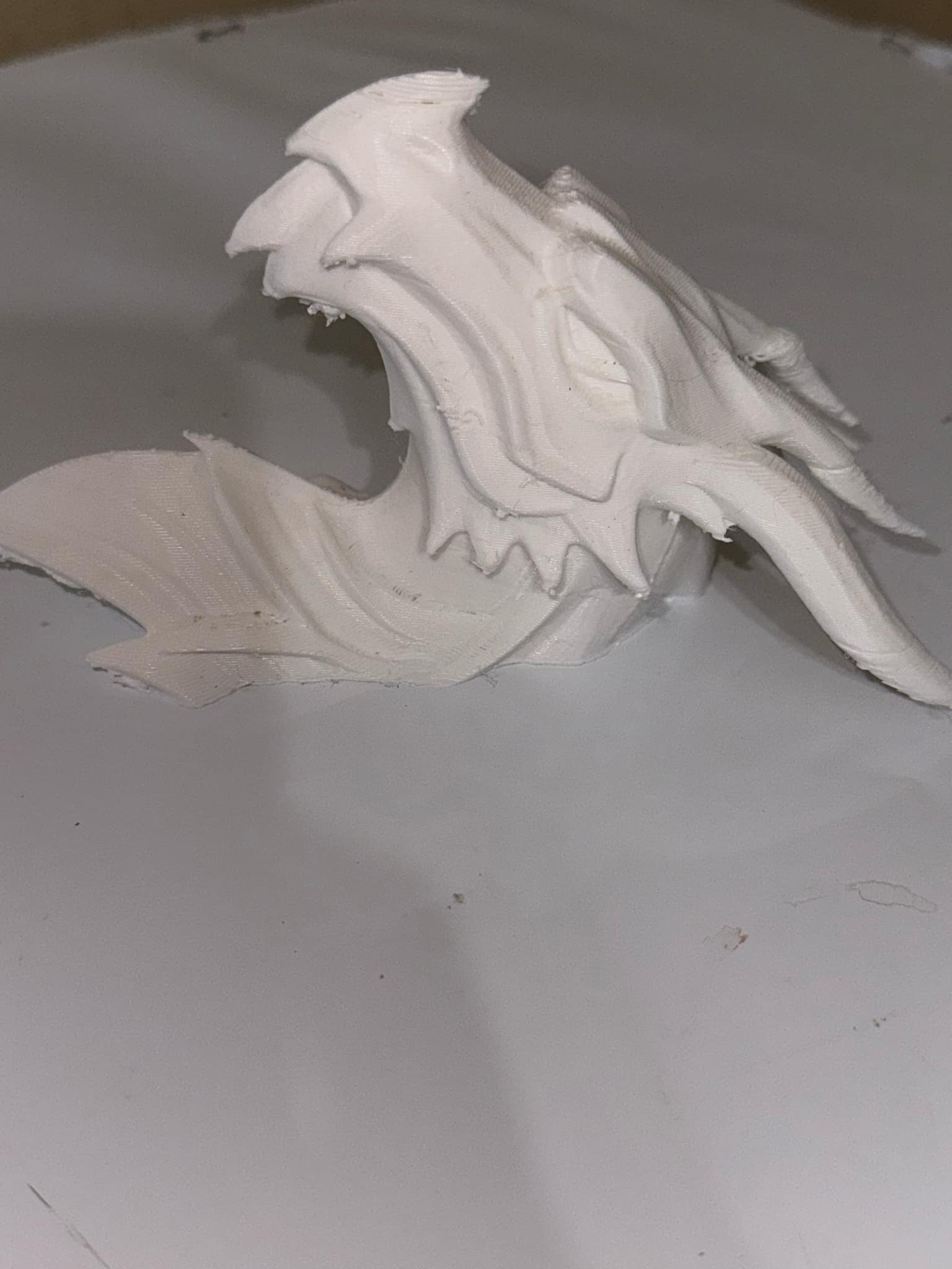 Flat Backed Dragon